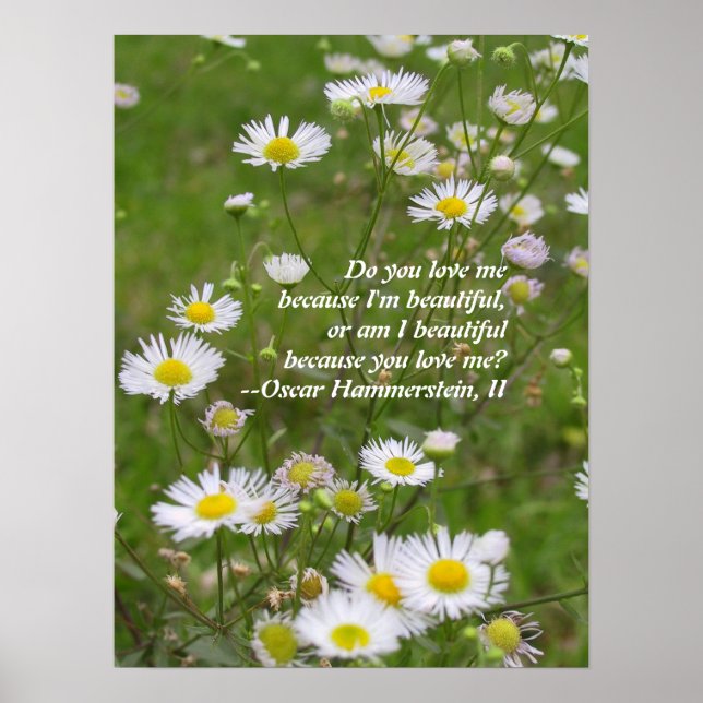 Póster O amor é lindo (Frente)