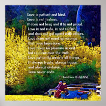 O Amor É Paciente: Casal No Parque