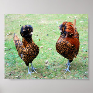 Póster O amor está no ar