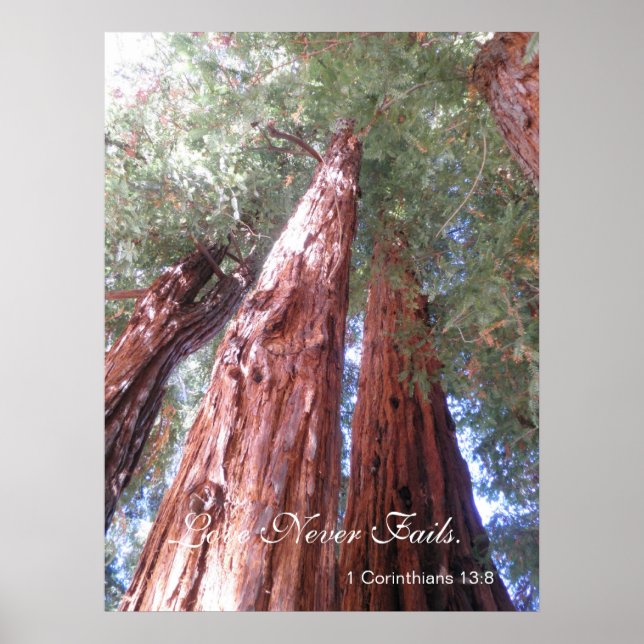 Póster O amor nunca falha (Frente)