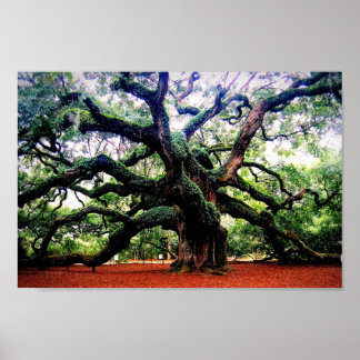 Poster O Angel Oak