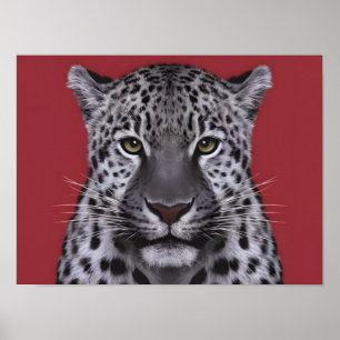 Poster O animal leopardo é encarado em estilo cinemático.