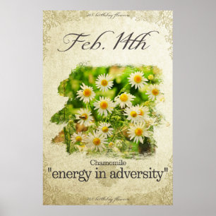 Poster O aniversário floresce o 14 de fevereiro a