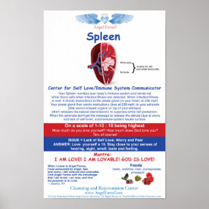 Poster O anjo cultiva a carta do baço