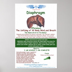 Poster O anjo cultiva a carta do diafragma