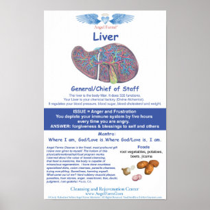 Poster O anjo cultiva a carta do fígado