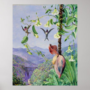 Poster O Aqueduto de Morro Velho