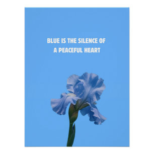 Póster O azul é o silêncio de um coração pacífico