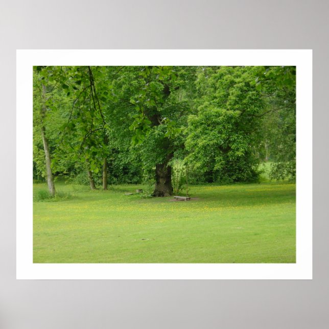 Póster O balanço (Frente)