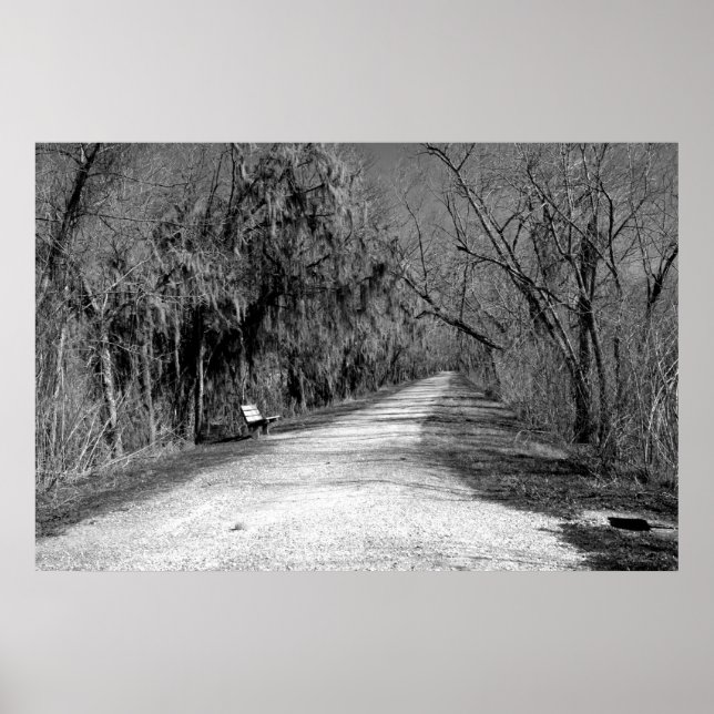 Poster O Banco (Frente)