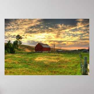 Poster O Barn do Creek Otter