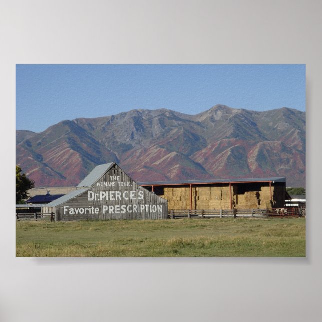 Poster O Barn do Dr. Pierce (Frente)