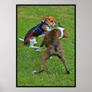 Póster O Beagle Arruinou A Concorrência...