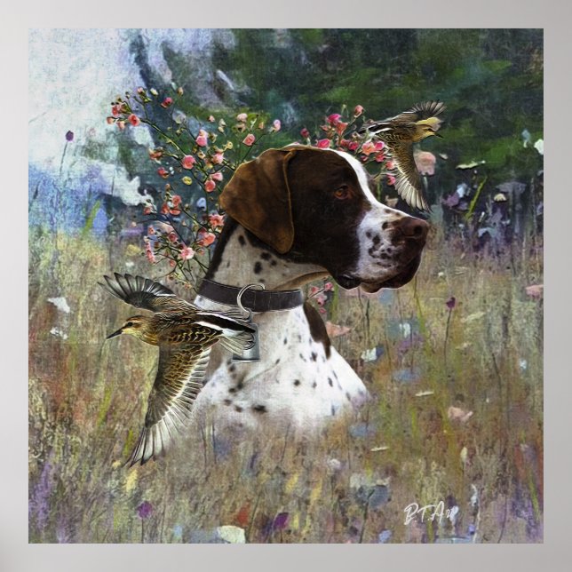 Poster O belo ponteiro no campo (Frente)