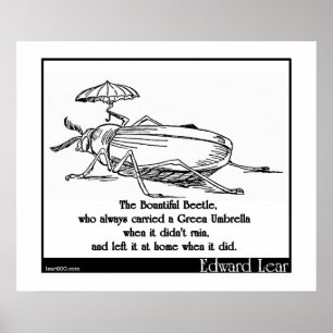 Póster O besouro beneficiente