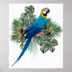 Poster O Big Bird da Natureza