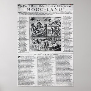 Póster O Boare holandês dissecado