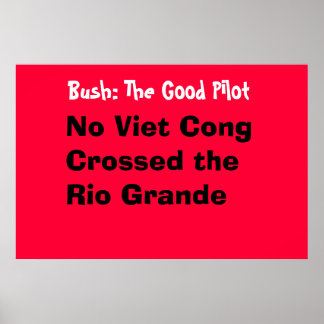 Póster O Bom Piloto