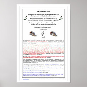 Póster O Bom Samaritano