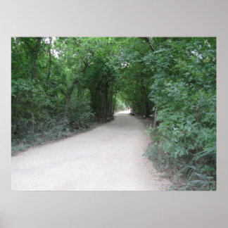 Poster O Bosque Entre os Mundos