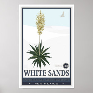 Poster O branco lixa o monumento nacional 3