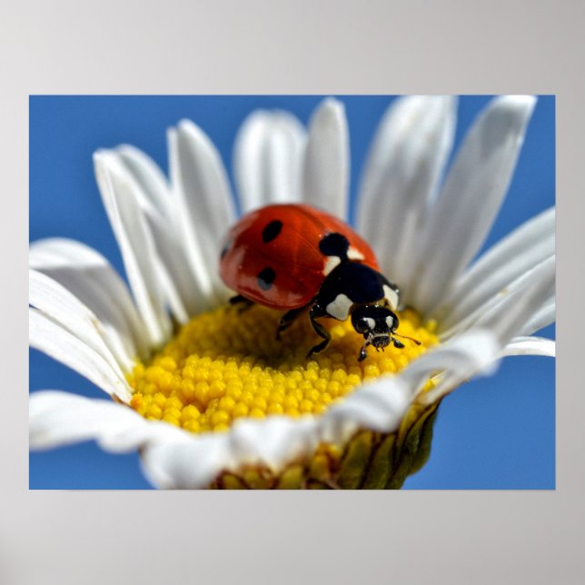 Poster O bug da daisy Mug Mouse Pad (Frente)
