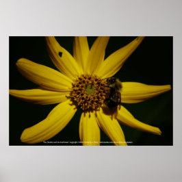 Poster O Bumble e o Girassol