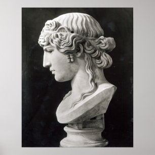 Póster O busto de Antinous chamou 'Antinous Mondragone
