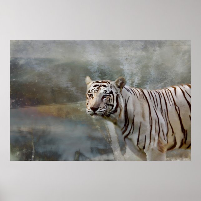 Póster O Caçador (Frente)