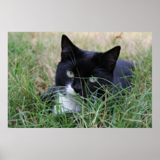 Póster O caçador em repouso