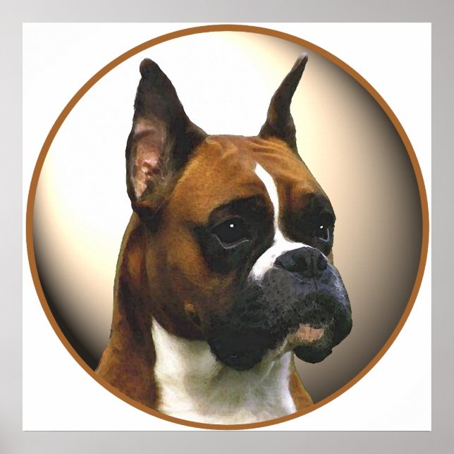 Poster O Cachorro-Boxer (Frente)