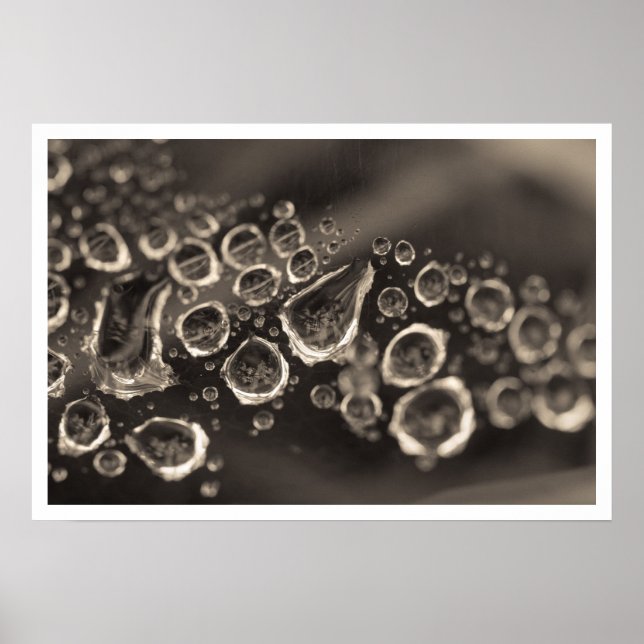 Póster o calçado cai (Frente)