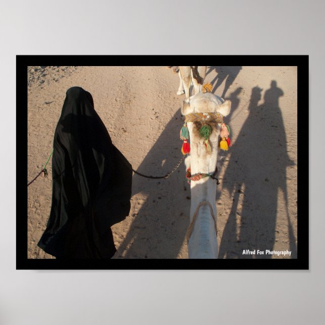 Poster O Camel Walk (Frente)