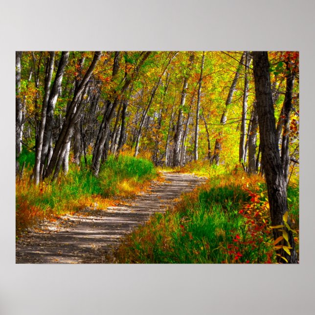 Póster O caminho (Frente)