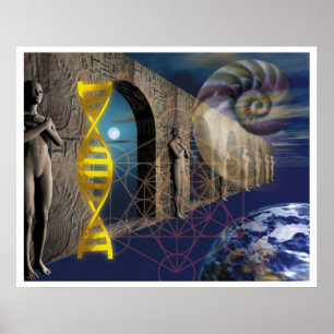 Póster O Caminho da Evolução