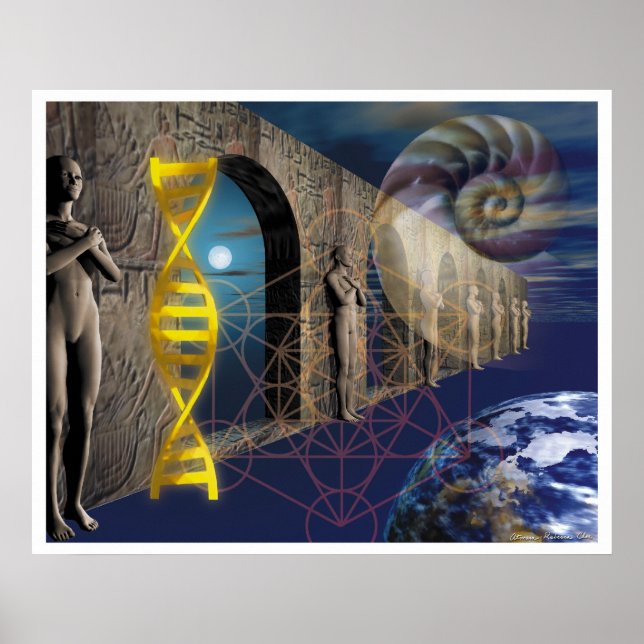 Póster O Caminho da Evolução (Frente)