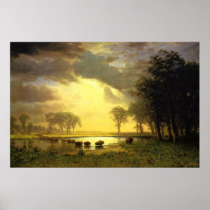 Poster O Caminho de Buffalo