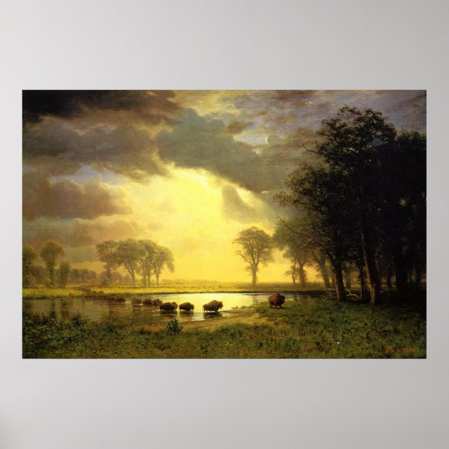 Poster O Caminho de Buffalo (Frente)