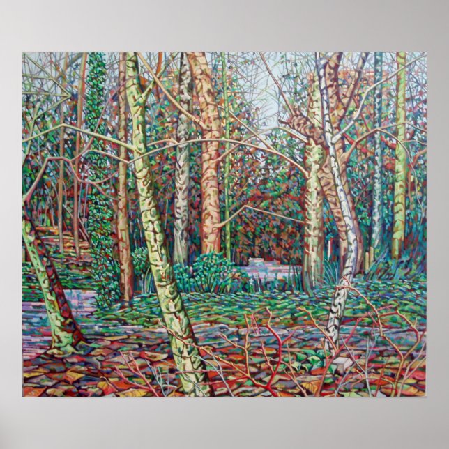 Póster O Caminho de Janeiro (Frente)