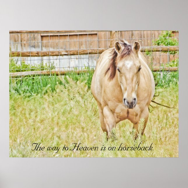 Póster O caminho para o céu (Frente)