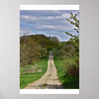 Póster O caminho para o lar II