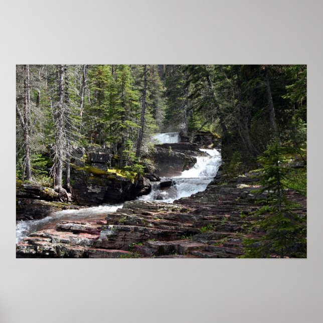 Poster O caminho para Virginia Falls, Glacier Park MT. (Frente)