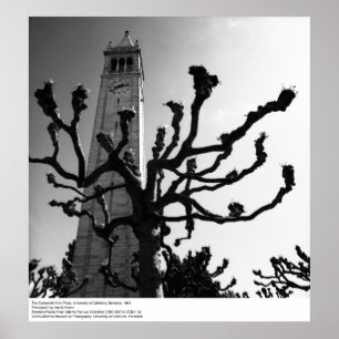 Póster O Campanile de Plaza, Uc Berkeley, 1964