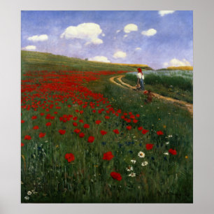 Póster O campo da papoila