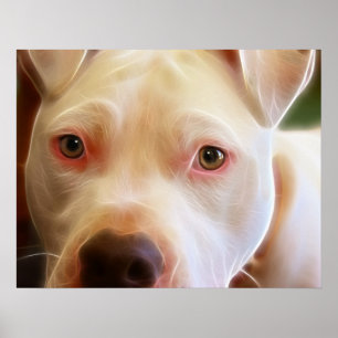 Póster O cão de filhote de cachorro de Pitbull Eyes a