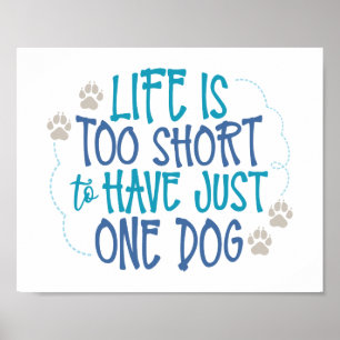 Poster O cão do divertimento cita - a vida é demasiado