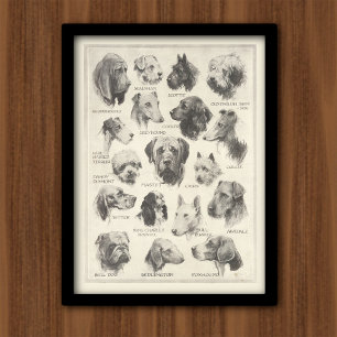 Poster O cão do vintage produz a carta
