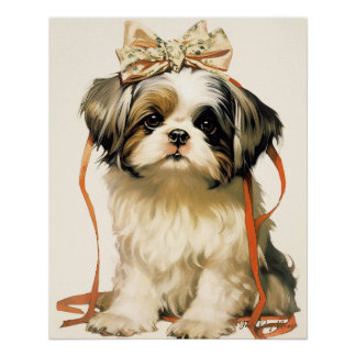 Póster O Cão Shih Tzu 001 - Odessa Leyendecker