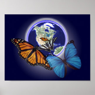 Póster O caos e a borboleta