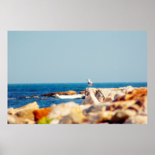 Poster O cargo de uma gaivota